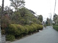 自治体お墨付きの良好な住宅地　自然豊かな住宅地「風致地区」