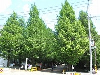 日吉、緑豊かなキャンパスと商店街、坂の街