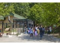 旭山動物園はなぜ成功したのか？ 「行動展示」への動物園改革
