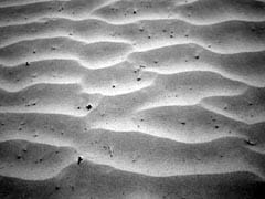 コンサルタントの志望動機の書き方　2