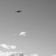 プロデュース型と評論型のコンサルタント