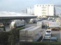 男子しか住んでいない街の謎