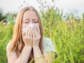 ブタクサなどキク科の花粉飛散量がピーク！秋の花粉症