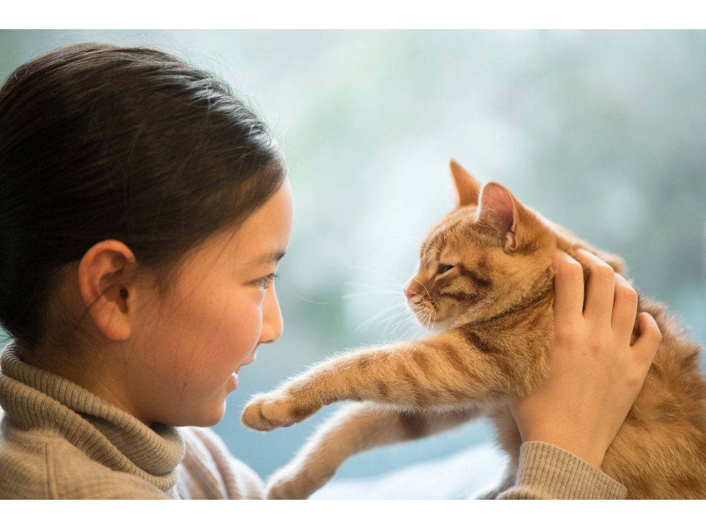 猫のオルゴナイト  訳ありの為ご理解の上ご検討ください。 猫のオルゴナイト 訳ありの為ご理解の上ご検討ください。