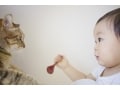 猫と赤ちゃん・妊娠中の妊婦が同居するときの注意点