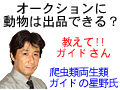 ネットオークションに動物は出品できる？
