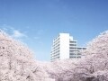 鹿島による都心居住の新しい価値観「桜プレイス」