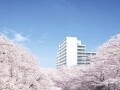 鹿島による都心居住の新しい価値観「桜プレイス」