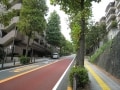 宮前平、坂と並木と区役所のある住宅街