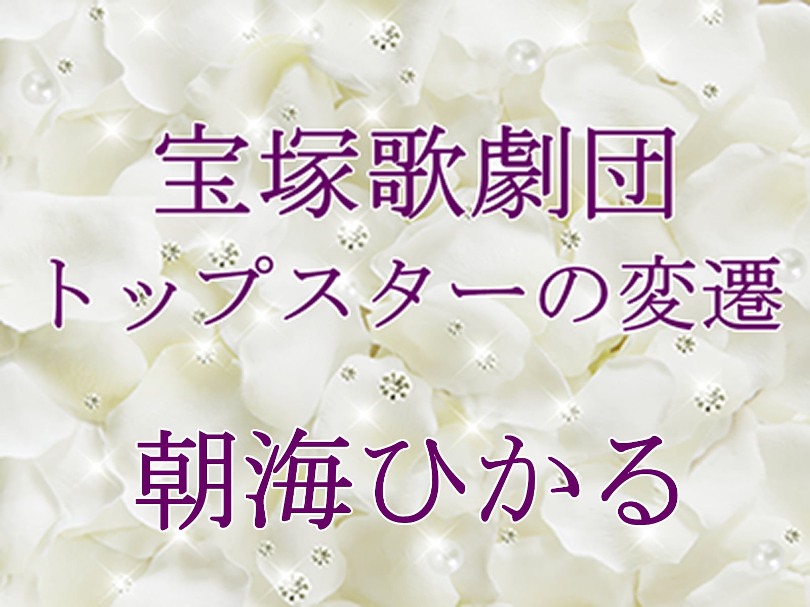 未使用品 瀬戸内美八 Tシャツ L 元宝塚歌劇団星組トップスター ルミ 徳島 未使用品 瀬戸内美八 Tシャツ L 元宝塚歌劇団星組トップ