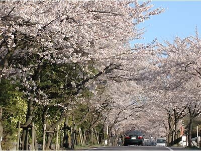 平和公園