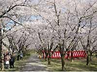 平和公園