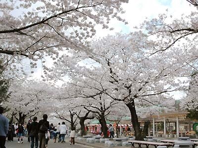 東山動植物園