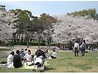 名城公園