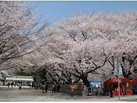 名古屋城入口