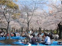 鶴舞公園