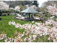 鶴舞公園