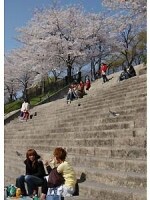 山崎川
