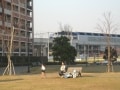 流山市、子育て層に人気、住宅供給豊富な街