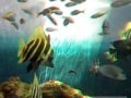 3D写真を手軽に補正しよう