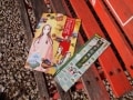 江姫ゆかりの長浜と竹生島