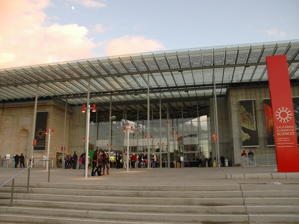 ピンバッジ カリフォルニア フォレスト アカデミー cal-academy04_30-1024x473.jpg