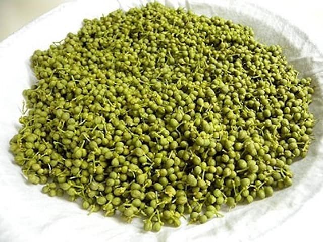 山椒の実。kuraraさん。専用ページ。1200g item-asakura500-1.jpg
