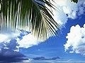 診断！あなたにおすすめの夏休みスパ