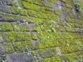 写真でみる「擁壁」事例（住宅購入前の注意点）