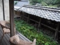 集落まるごと一軒の宿　「集落丸山」（丹波篠山）