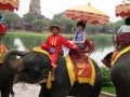 バンコクの象乗りスポット