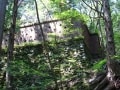 住友林業　300年以上にわたる環境保全の実績