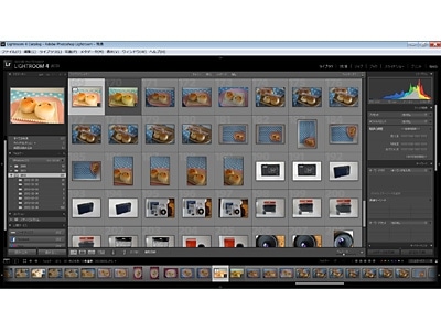 その他 Adobe Photoshop Lightroom 4 Adobe Photoshop Lightroom 4でプロ並み写真編集 [フォトショップ