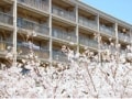 一人暮らしのご近所づきあいのコツ