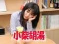 小柴胡湯（しょうさいことう）