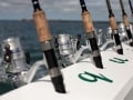 カナダの海釣り（サーモン・マグロフィッシング）