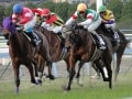 勝負だけじゃない！初めての人でも楽しめる競馬の見方