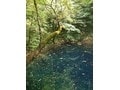 雄大な自然に囲まれた湖「青池」(青森県・白神山地)