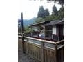 愛犬家必見！ ACNオーキャン宝島（栃木）