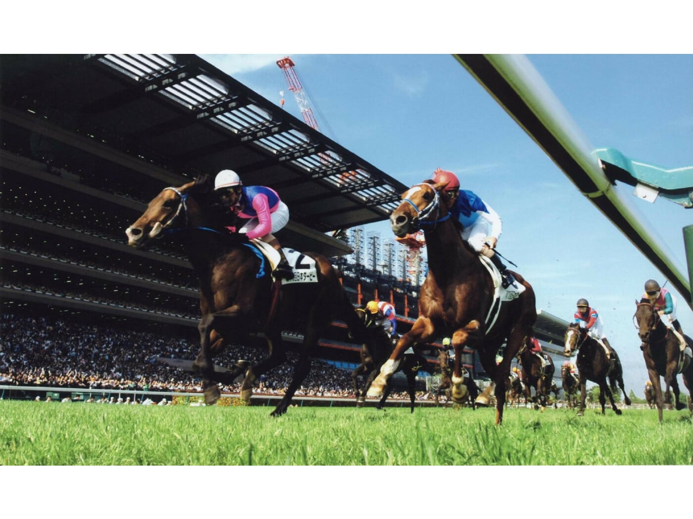 入手困難【競馬-DVD】世界のGⅠレース00 凱旋門賞、ドバイワールドカップ他 取り除き