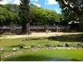 大人も楽しめるパノラマ展示！ 愛媛県立とべ動物園