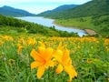 群馬の高原リゾート！「野反湖」