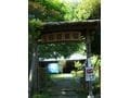 石畳茶屋 新茶の季節が最高！