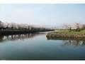 桜も美しい函館のシンボル 五稜郭公園