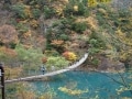 美味しい！安い！近い！紅葉ドライブの穴場 奥大井