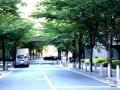防災、防犯に優れた「最強マンション TOP10」