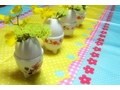 卵の殻に小さな花束を
