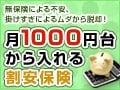 シングル、結婚したばかりの男性にピッタリの割安保険