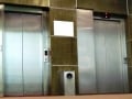 繰り返されるエレベーターの死亡事故 その予防策は？
