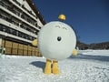 ゆるキャラに会えるスキー場